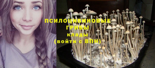 гидропоника Алзамай
