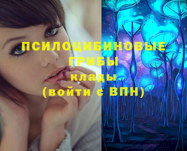 спиды Алексин