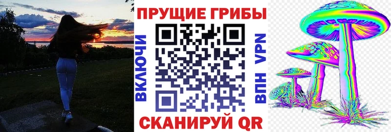Галлюциногенные грибы Psilocybine cubensis  shop клад  Балашиха 