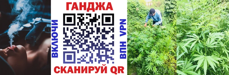 купить наркоту  shop телеграм  Бошки Шишки план  Балашиха 